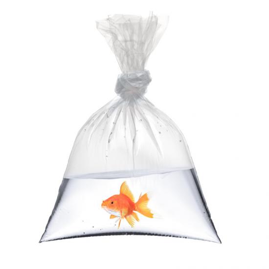 Akar - Naylon Torba - 50x75 cm - 1 Kg