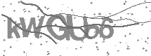 Doğrulama Kodu